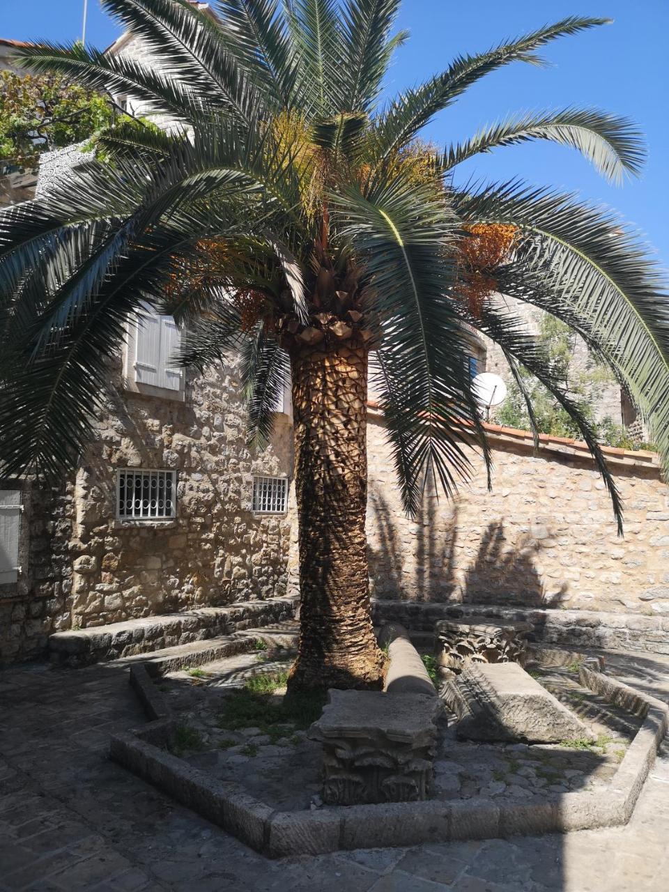 Hostel Michel Budva